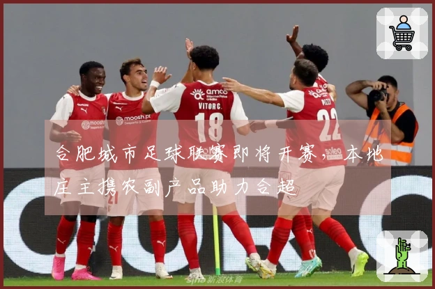 合肥城市足球联赛即将开赛，本地庄主携农副产品助力合超