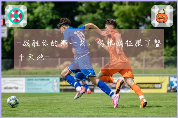 -战胜你的那一刻，仿佛我征服了整个天地-